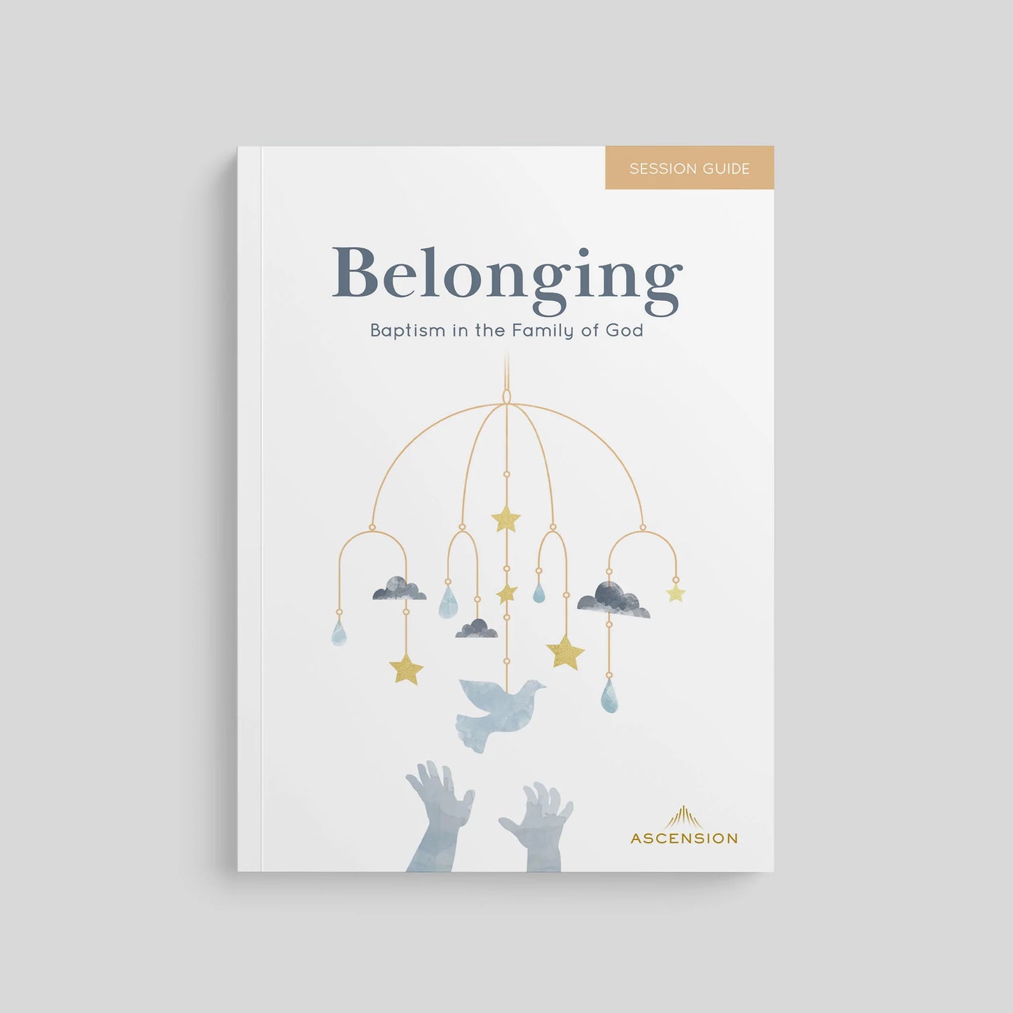 Booklet titled 'Belonging: Baptism in the Family of God' by Ascension on a gray background
