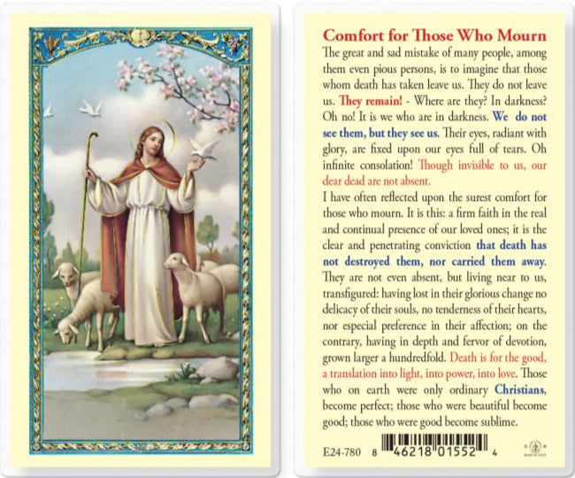 Comfort for Those Who Mourn Holy Card