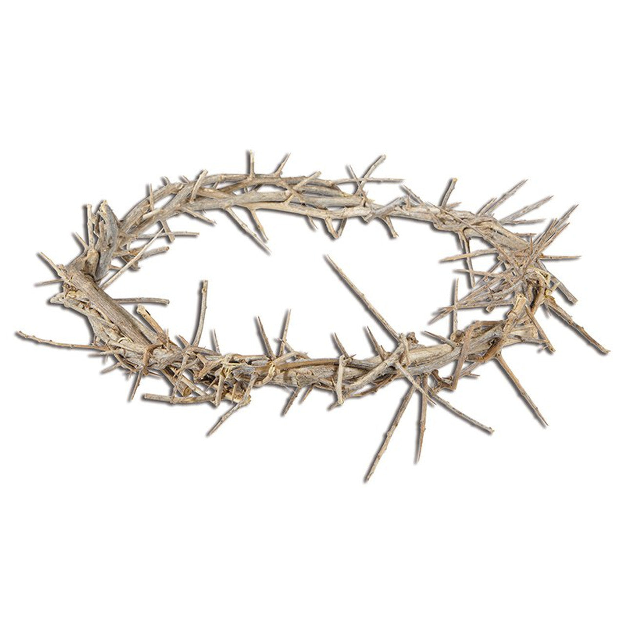 Crown of Thorns 11"