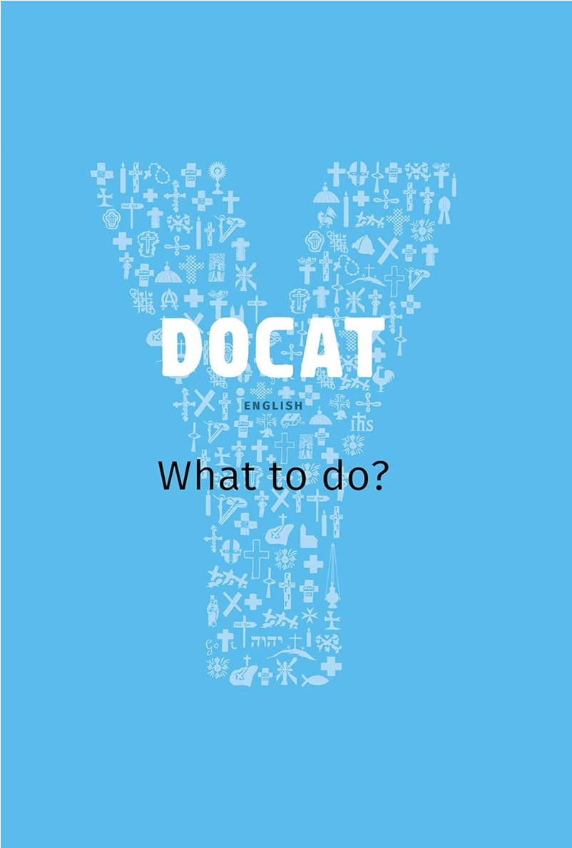 Docat What to Do? (Youcat)