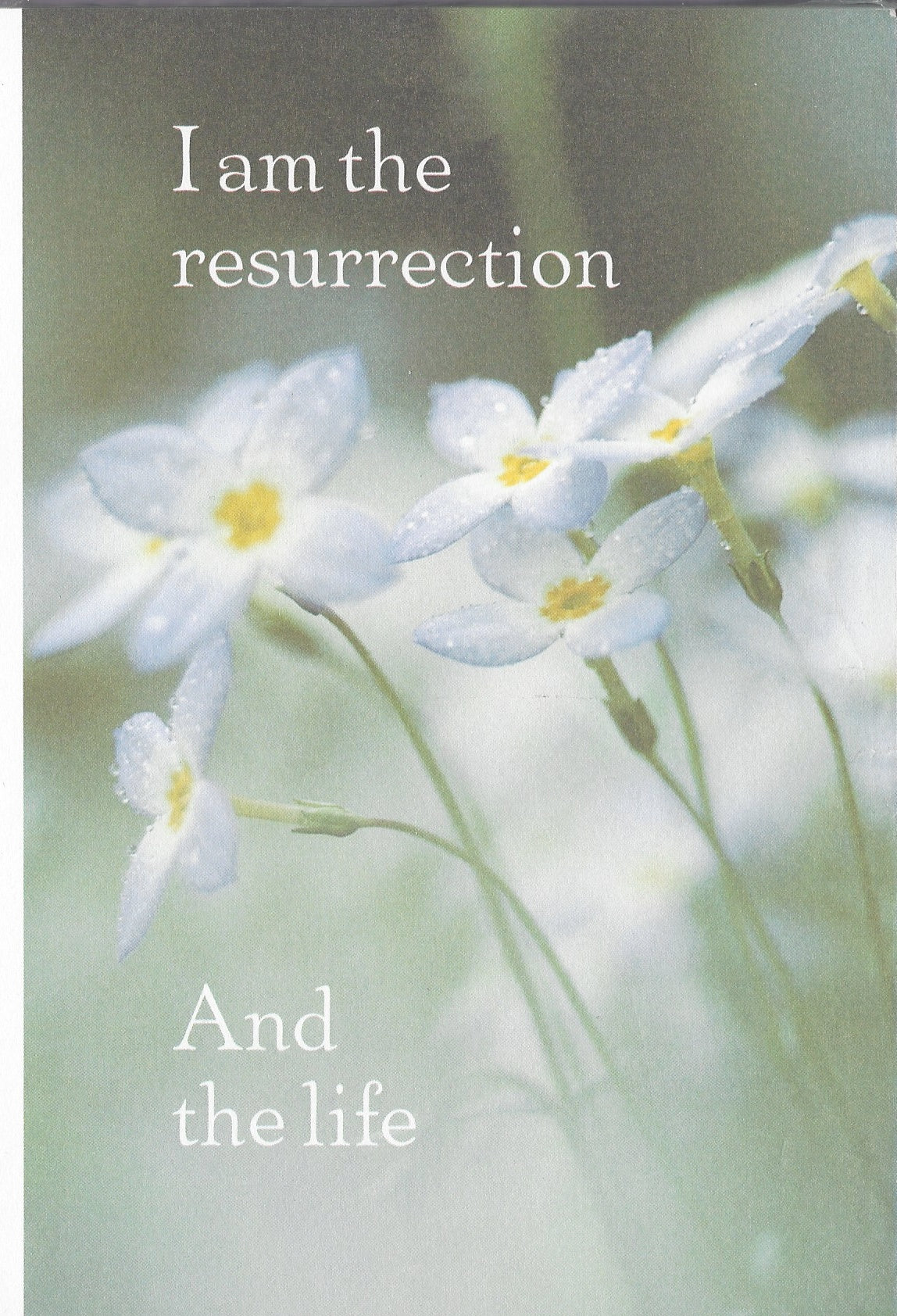 Easter Bulletins: I Am the Resurrection