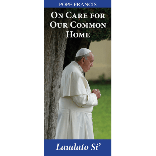 A vertical book cover or booklet cover featuring Pope Francis in white papal clothing standing beside a tree, with the title 'On Care for Our Common Home' and the text 'Pope Francis' and 'Laudato Si'' on blue bands at the top and bottom.