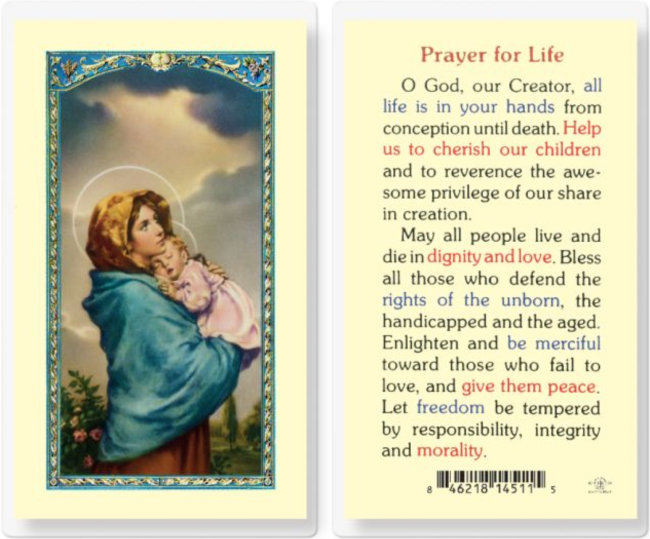 Prayer for Life with Madonna of the Street Holy Card