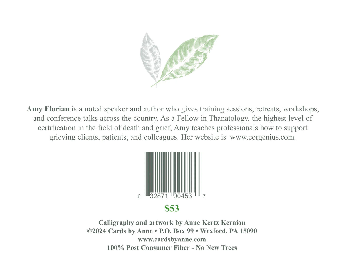 Back cover of a book with text about Amy Florian and a barcode, featuring a leaf design.