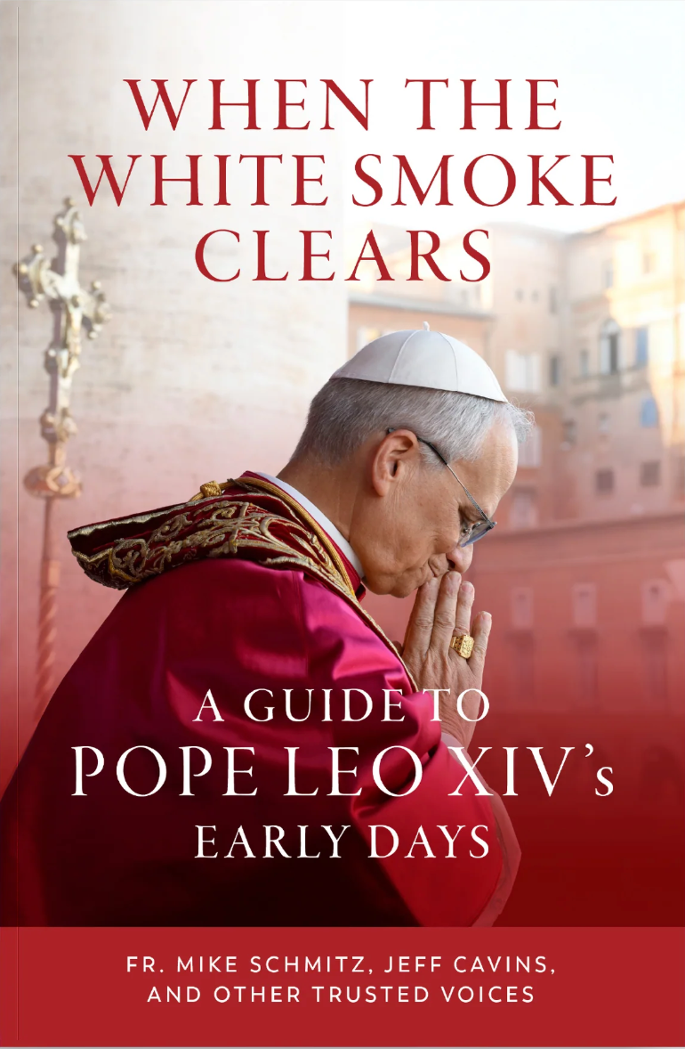When the White Smoke Clears: A Guide to Pope Leo XIV's Early Days