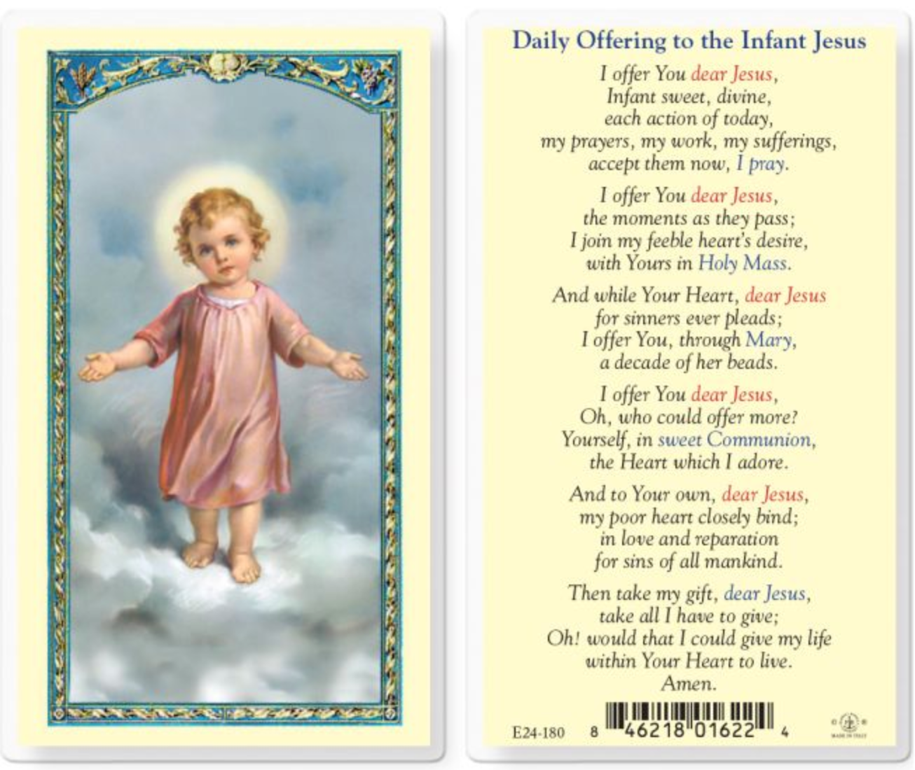 Daily Offering to Infant Jesus Laminated Holy Card