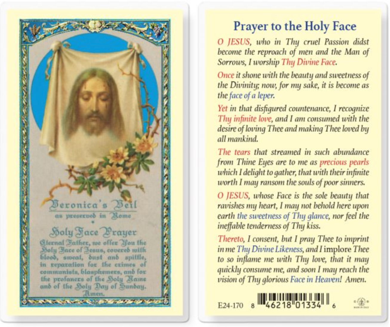 Prayer to The Holy Face Holy Card
