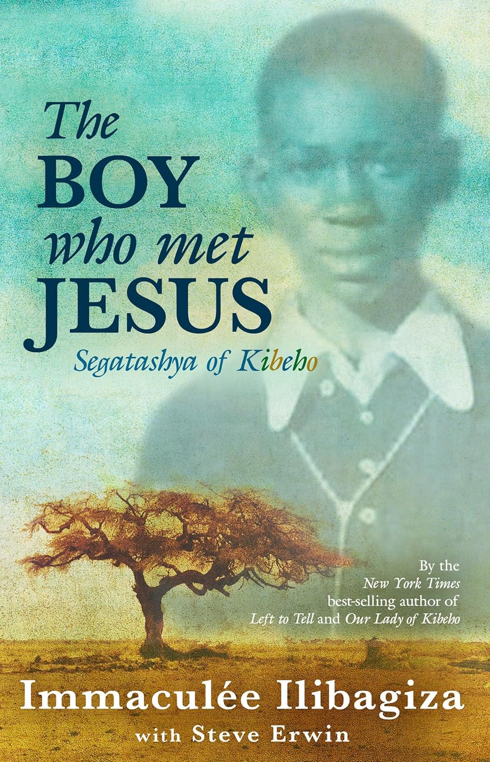Book cover of 'The Boy who met Jesus' with a silhouette of a boy and a tree.