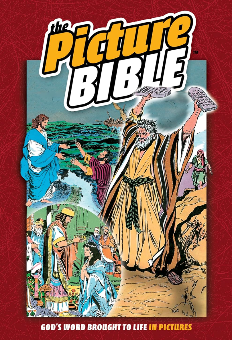 The Picture Bible: God's Word Brought to Life in Pictures