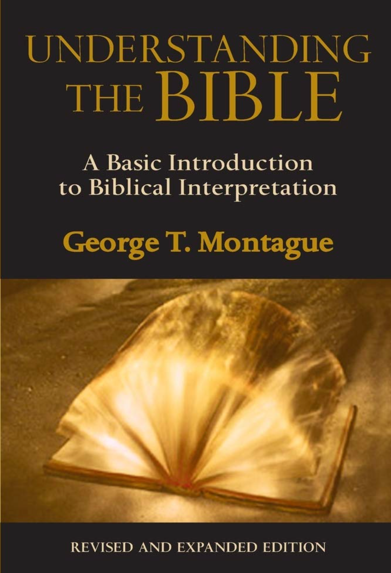 Understanding the Bible: A Basic Introduction to Biblical Interpretation