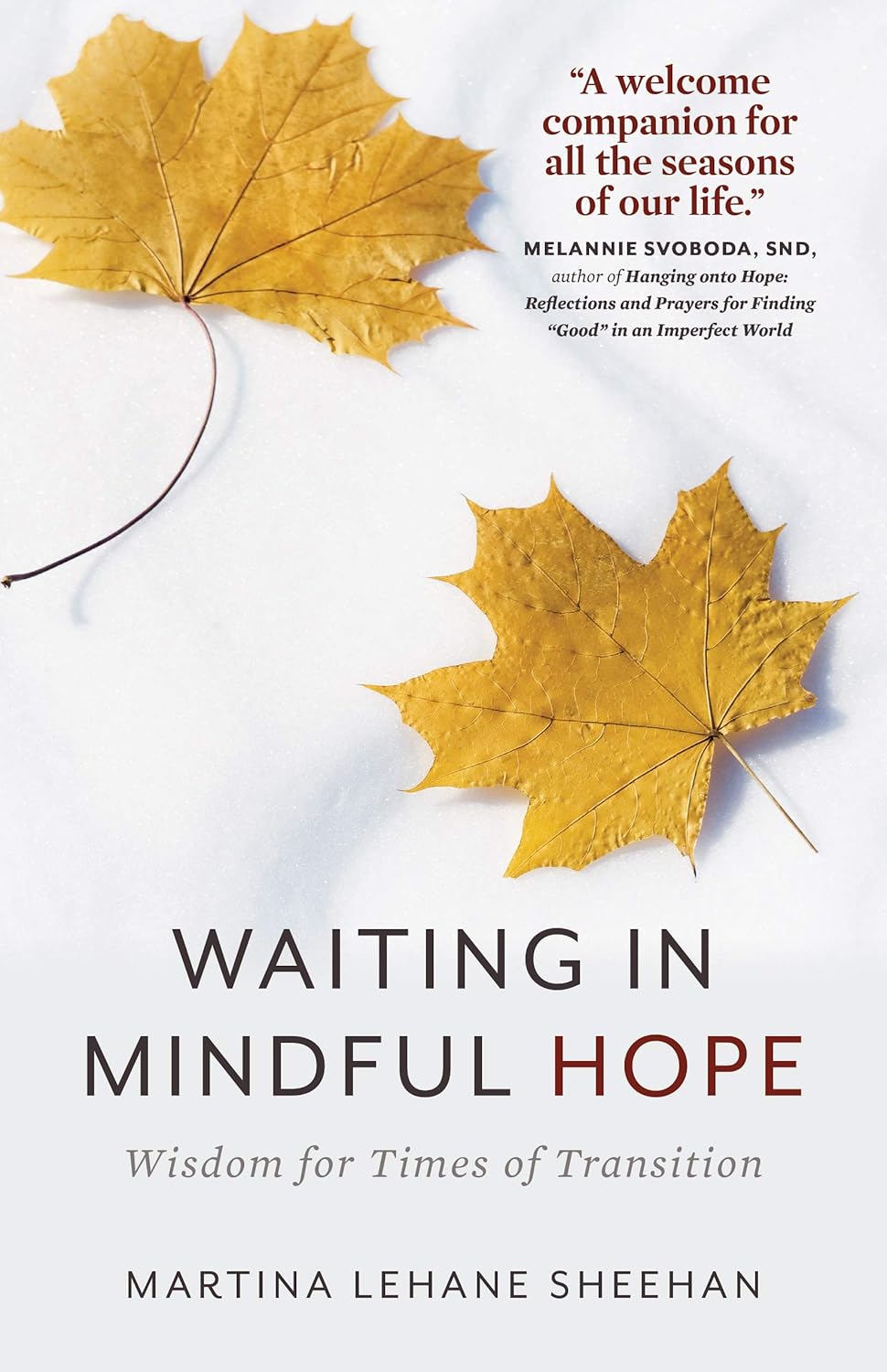 Book cover of 'Waiting in Mindful Hope' with yellow leaves on a white background