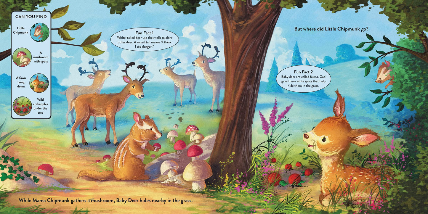 Let's Learn About the Forest