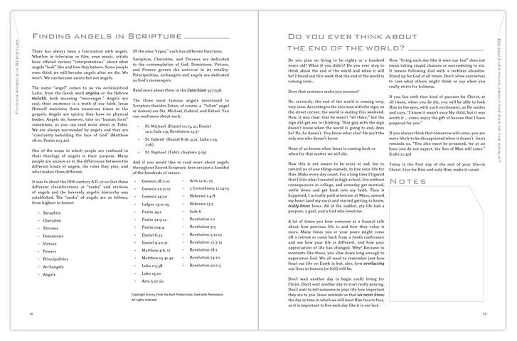 T3 Revelation The Lion & the Lamb Student Workbook