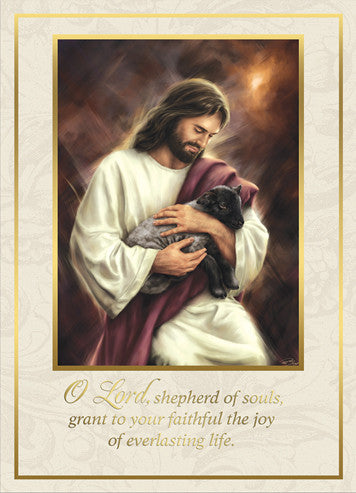 Mass Cards: Jesus Our Shepherd (Box of 50)