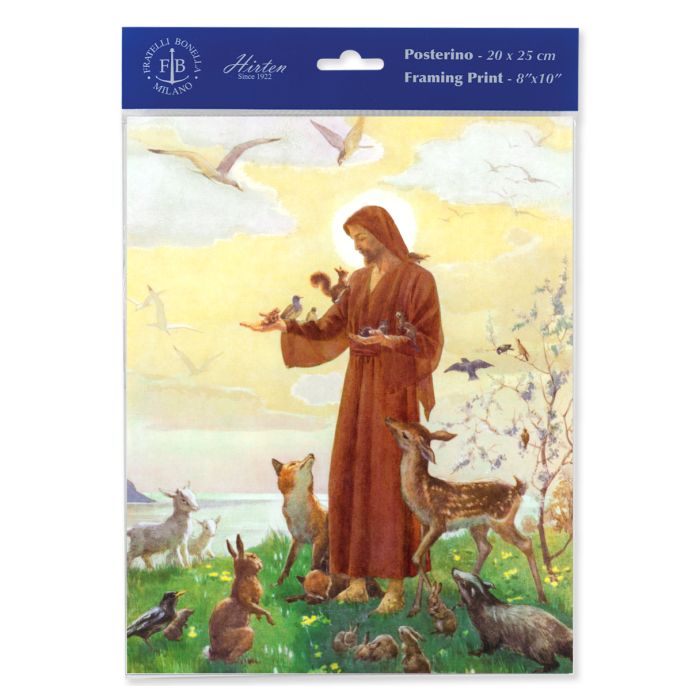 St. Francis with Animals Print 8x10"