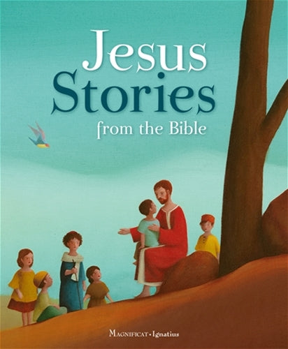 Cover of 'Jesus Stories from the Bible' featuring illustrations of characters from the story.
