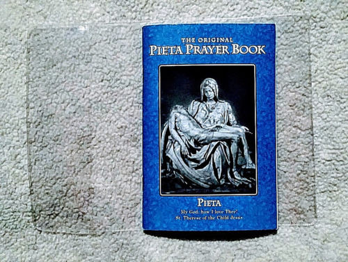 Pieta Plastic Covers