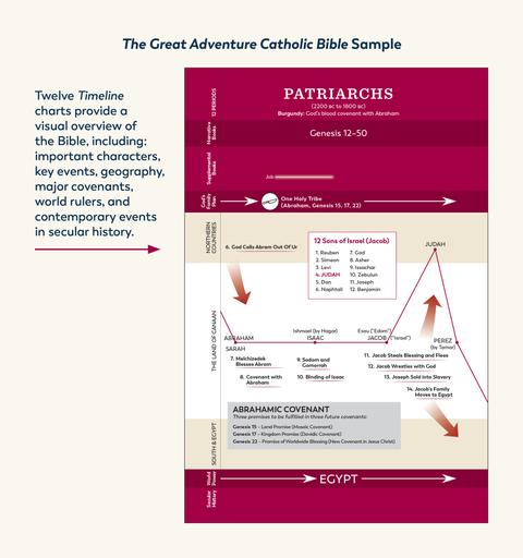 Great Adventure Catholic Bible-Leather Ed. )