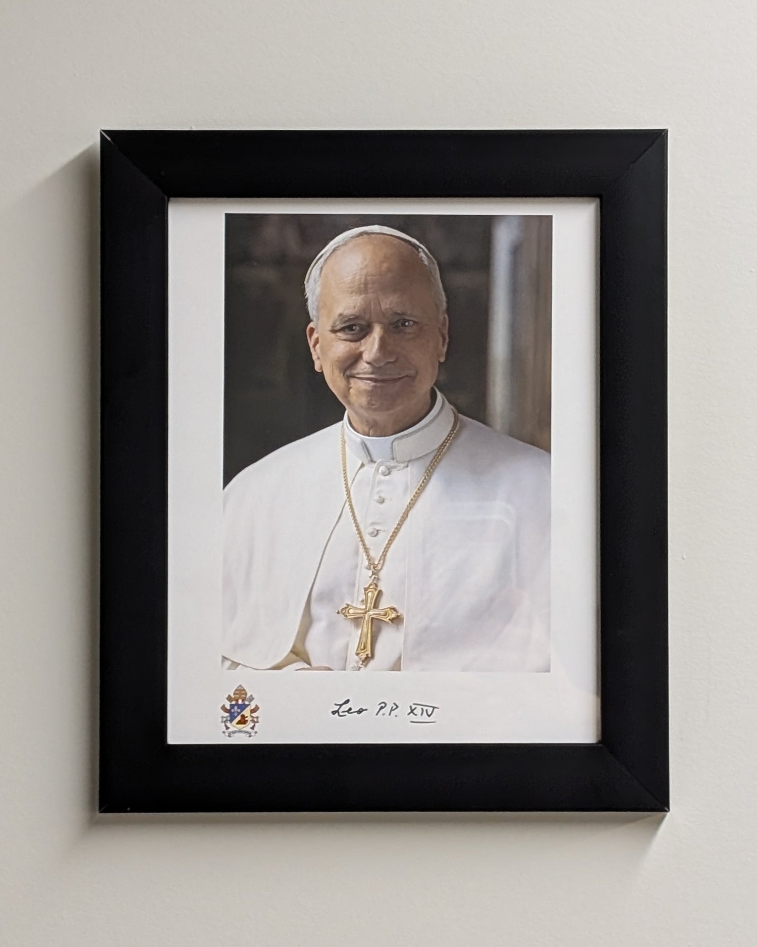 Pope Leo XIV