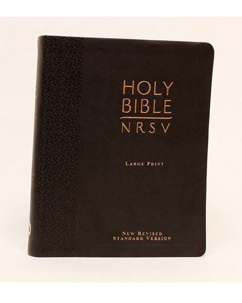NRSV Holy Bible (Large Print)