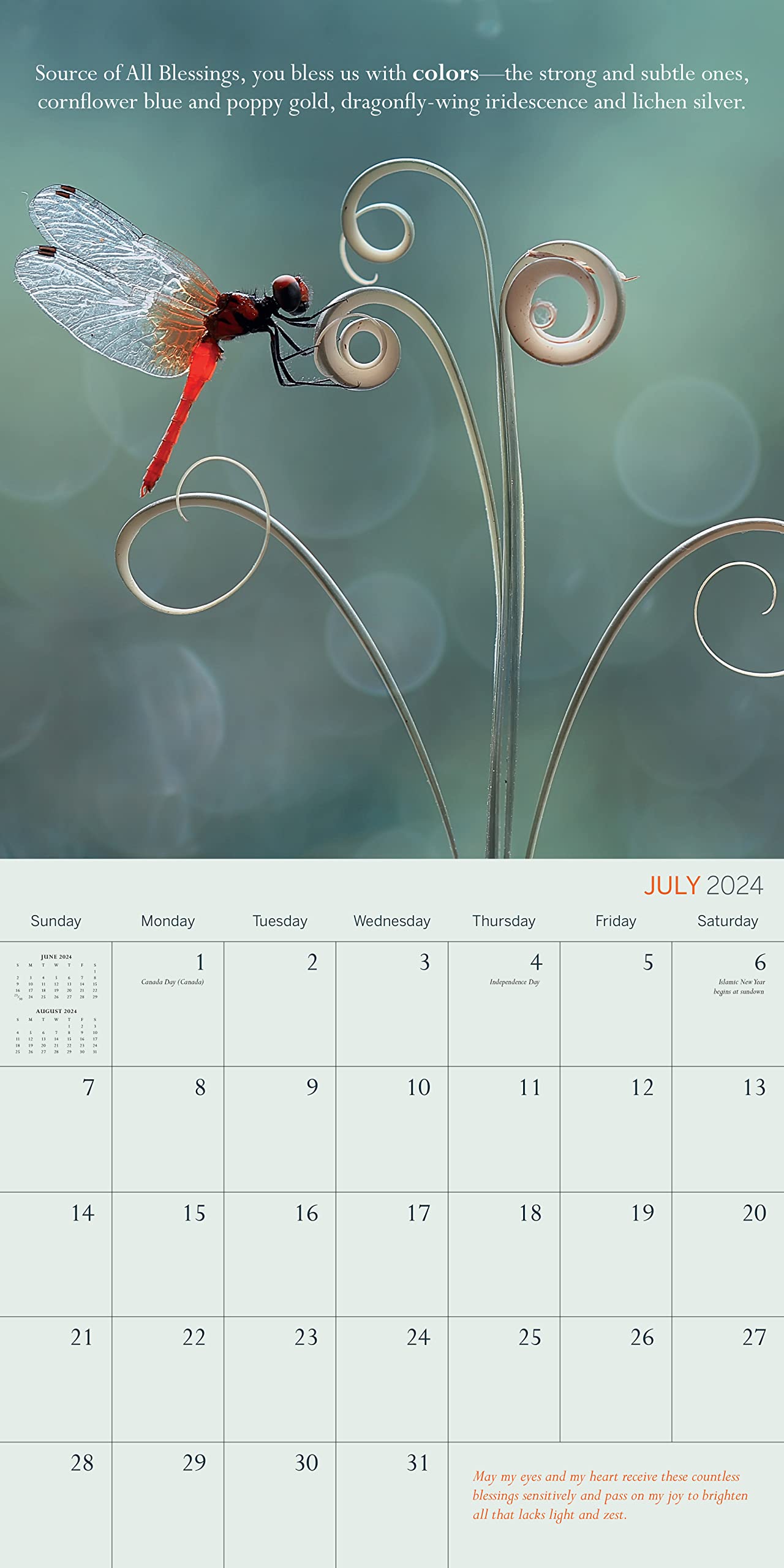Brother David Steindl-Rast Blessings Wall Calendar 2024