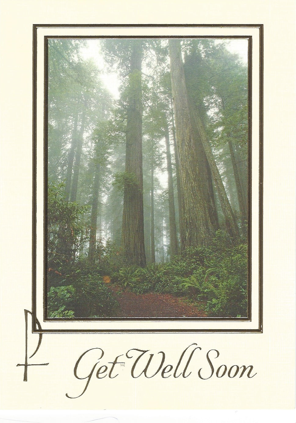 Mass Cards: Get Well Soon (Box of 50)