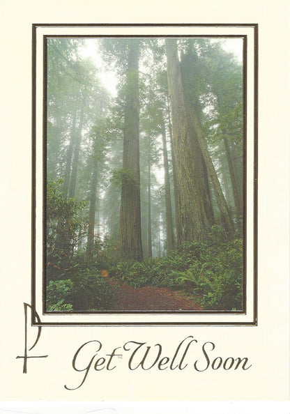 Mass Cards: Get Well Soon (Box of 50)