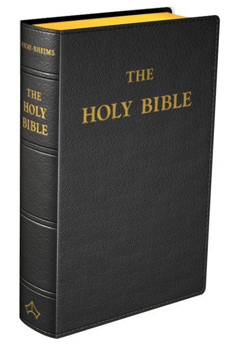 Douay-Rheims Catholic Bible, Baronius Press Edition
