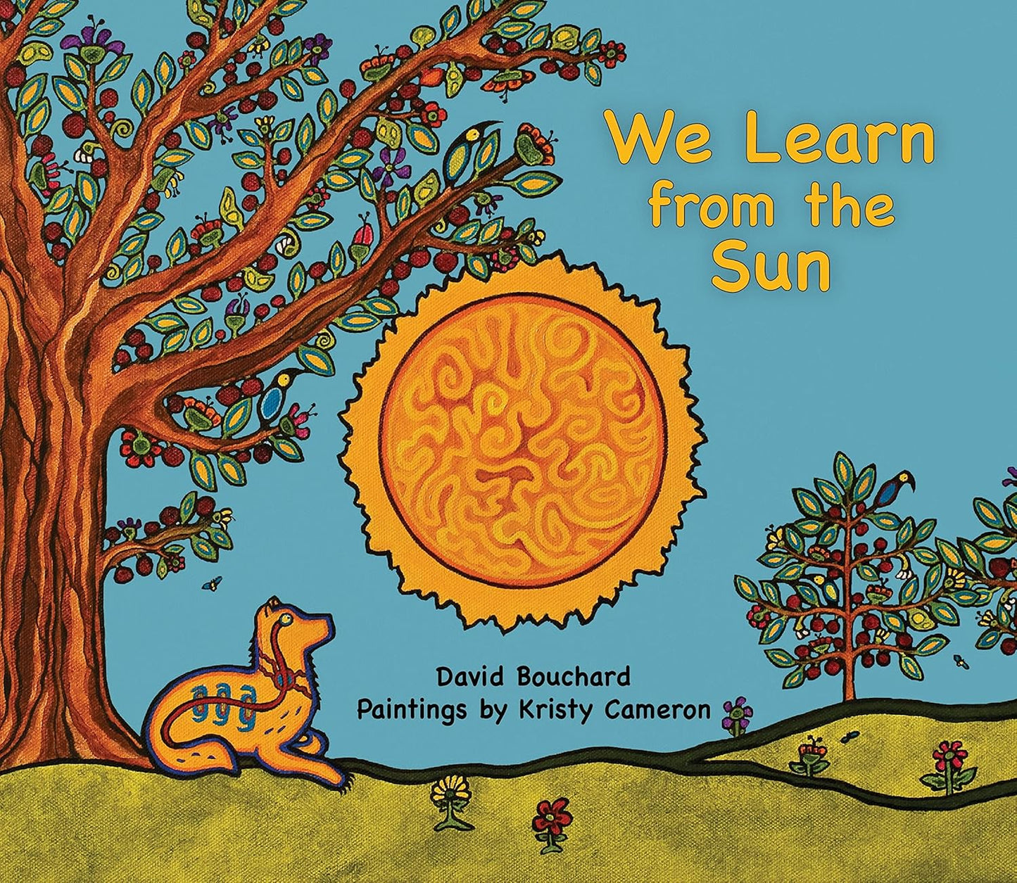 We Learn From the Sun