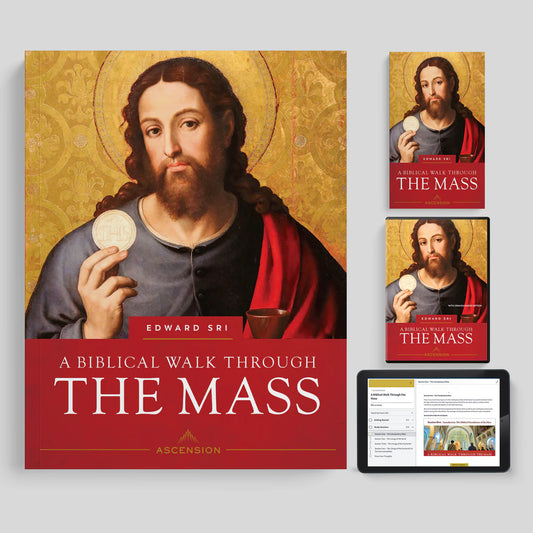 Book cover of 'A Biblical Walk Through The Mass' with a depiction of a religious figure holding a bread and wine, displayed on a gray background.