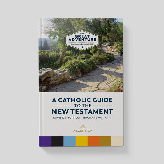 Book cover of 'A Catholic Guide to the New Testament' with a scenic landscape on a white background