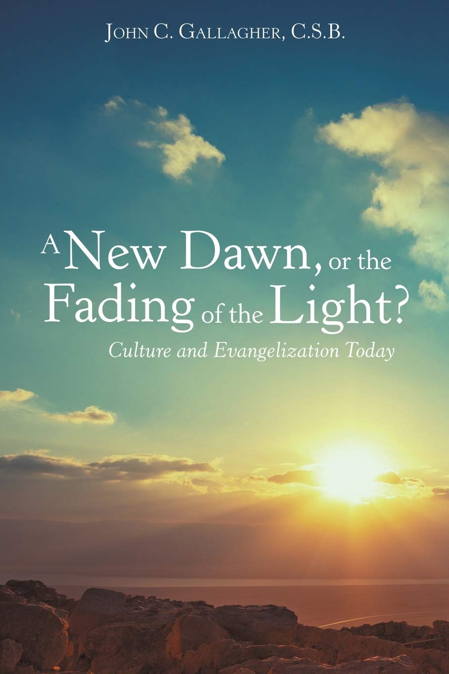 Book cover with sunset over a mountain range and text about culture and evangelization.