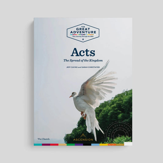 Acts: The Spread of the Kingdom (Workbook)