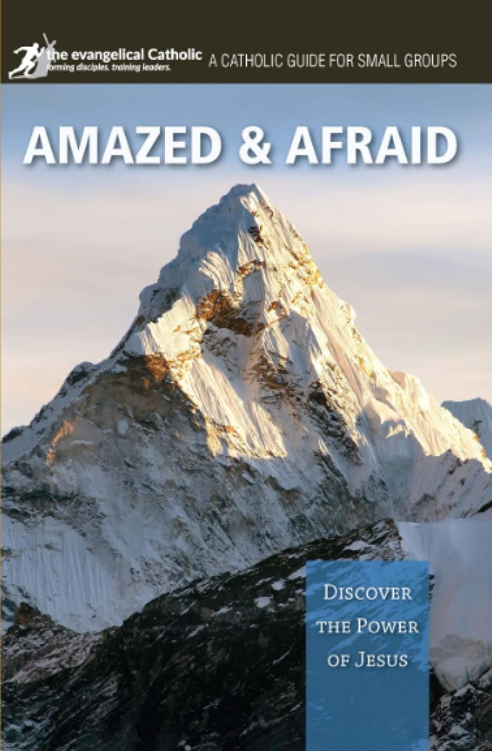 Book cover of 'Amazed & Afraid' with a mountainous landscape