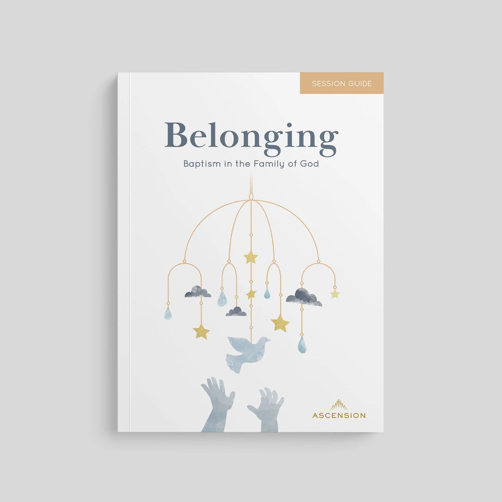 Booklet titled 'Belonging: Baptism in the Family of God' by Ascension on a gray background