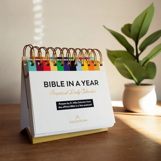 Desk calendar titled 'Bible in a Year' on a wooden surface with a plant in the background