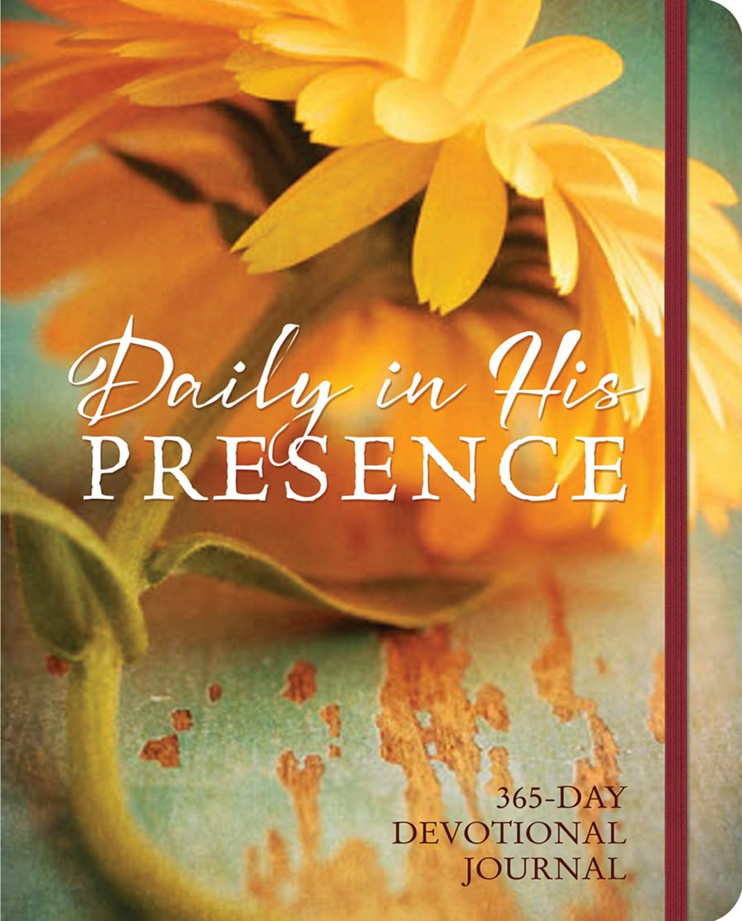 Daily in His Presence: 365 Day Devotional Journal