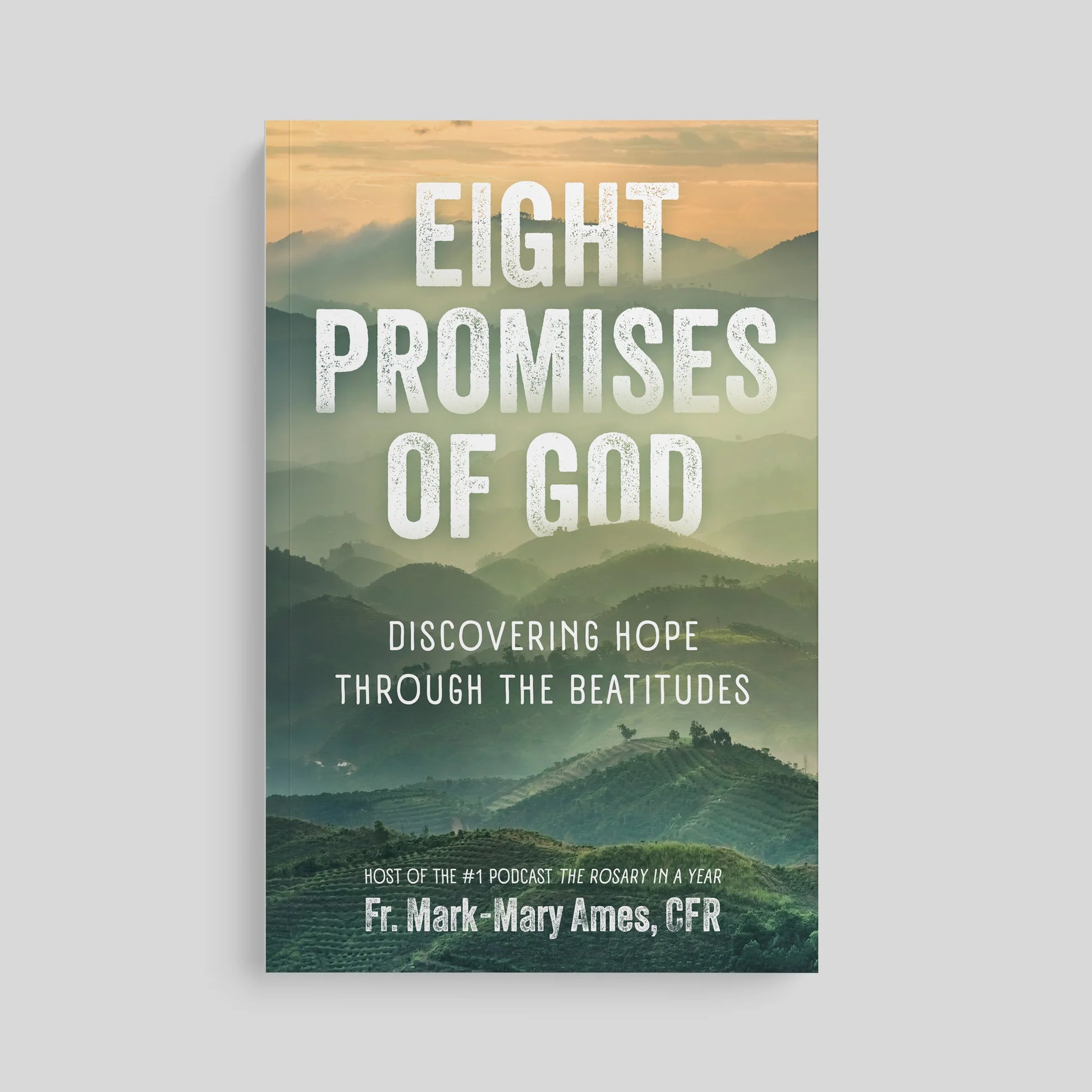 Book cover titled 'Eight Promises of God' with a mountain landscape background