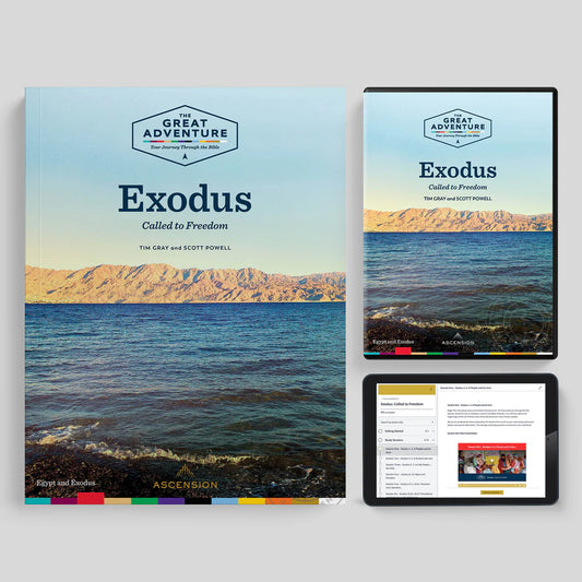 Exodus: Called to Freedom (Starter Pack)