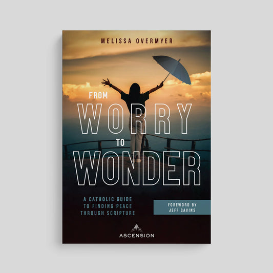 Book cover of 'From Worry to Wonder' by Melissa Overmyer with a silhouette against a sunset.