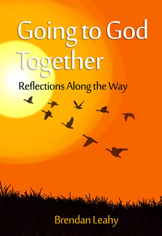 Book cover of 'Going to God Together: Reflections Along the Way' with a sunset and birds design.