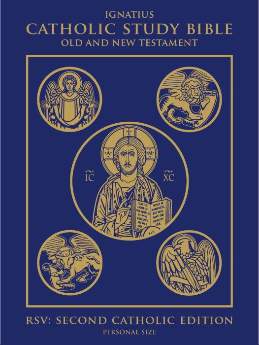 Catholic Study Bible cover with gold illustrations on a blue background
