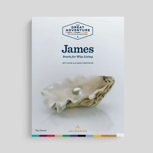 Book cover with an oyster and pearl on a light gray background