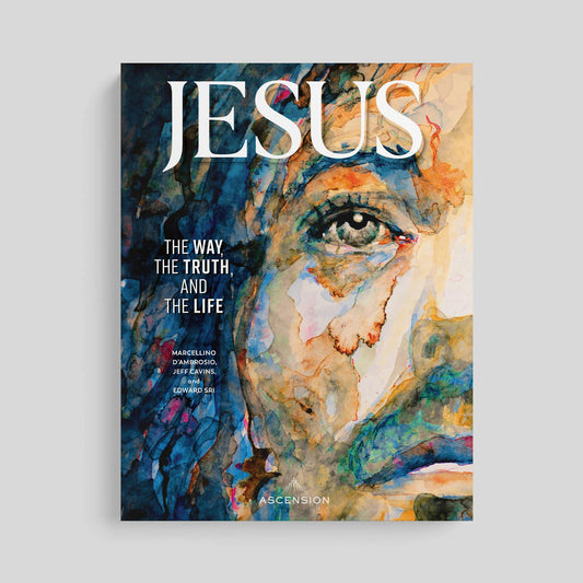 Book cover with artistic depiction of a face and the word 'Jesus' on a gray background
