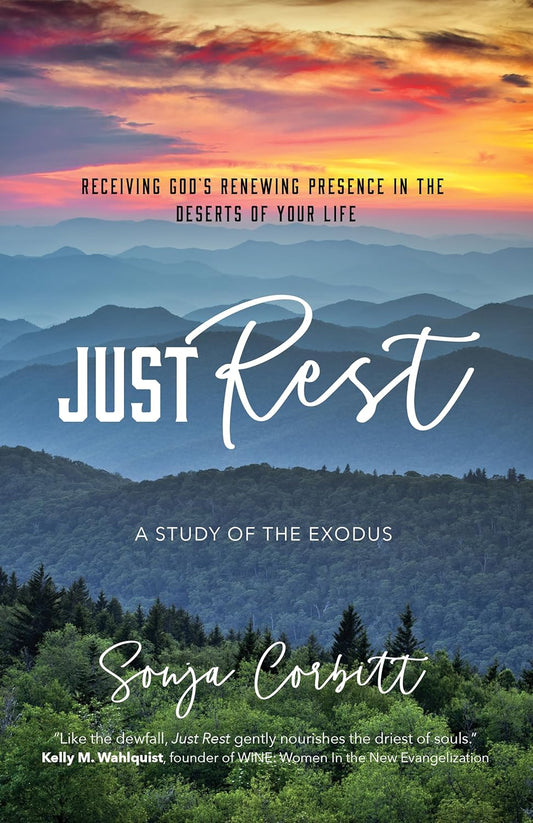 Book cover of 'Just Rest' with a mountain landscape and sunset.