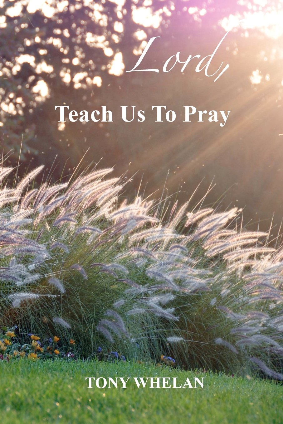 Book cover with grasses and sunlight, featuring the title 'Lord, Teach Us To Pray' by Tony Whelan.