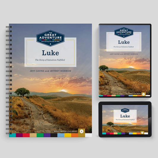 Luke: The Story of Salvation Fulfilled (Starter Pack)