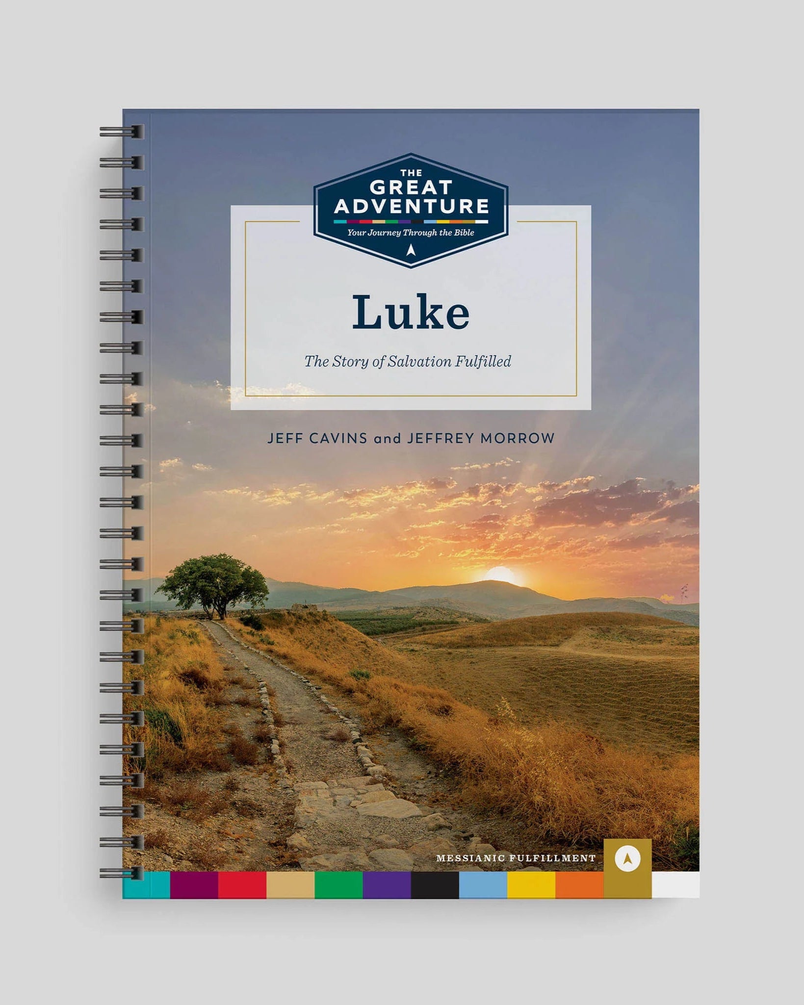 Book titled 'The Great Adventure: Luke' with a scenic cover on a gray background