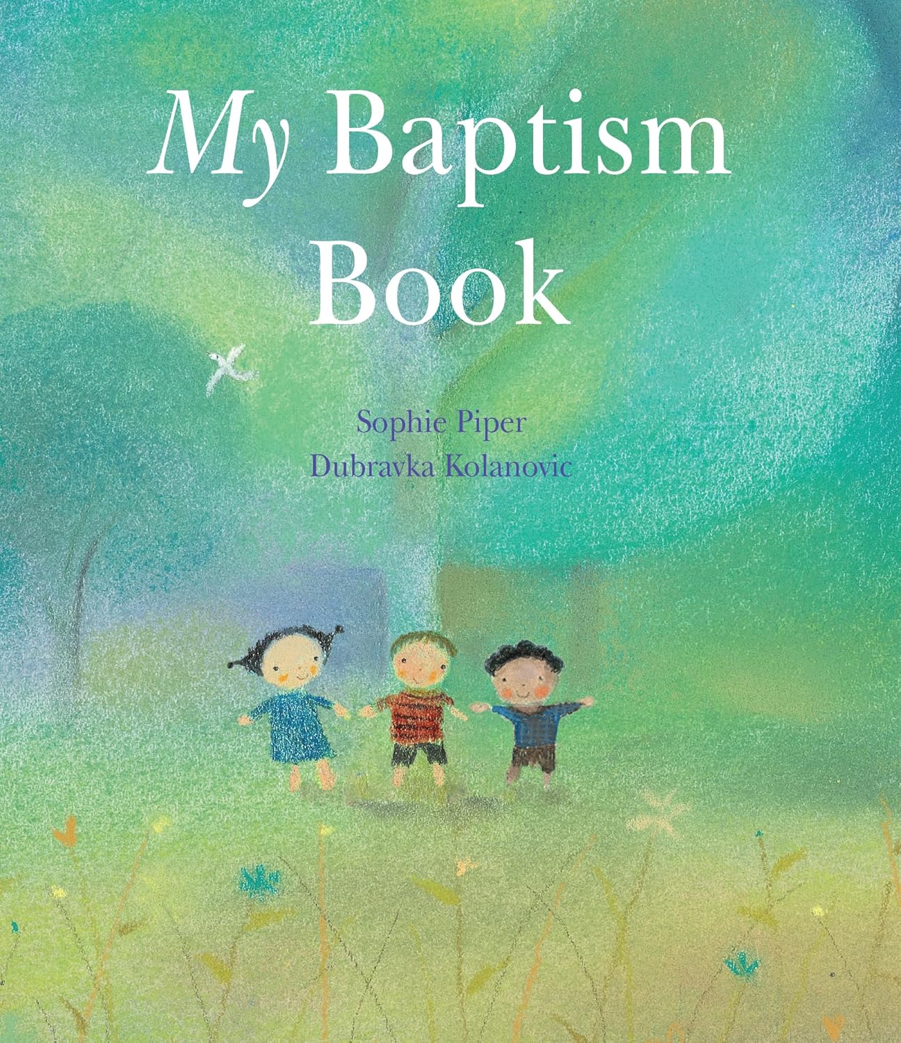 Book cover of 'My Baptism Book' with children in a field and author names.