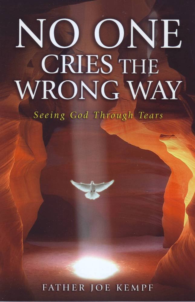 Book cover of 'No One Cries the Wrong Way' with a desert scene and dove